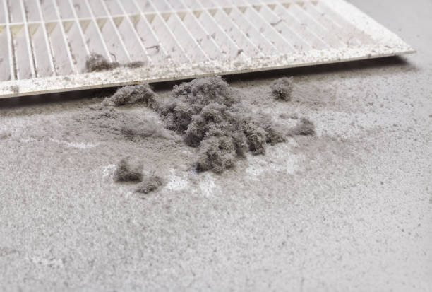 Best Home Air Vent Cleaning  in Gratton, VA
