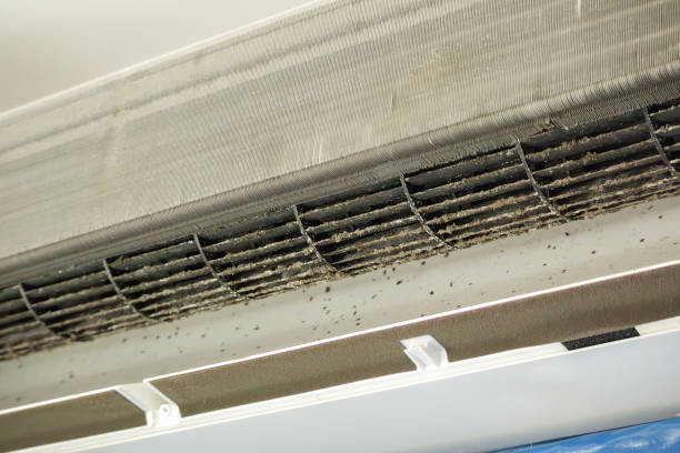 Best Air Vent Cleaning Services  in Gratton, VA